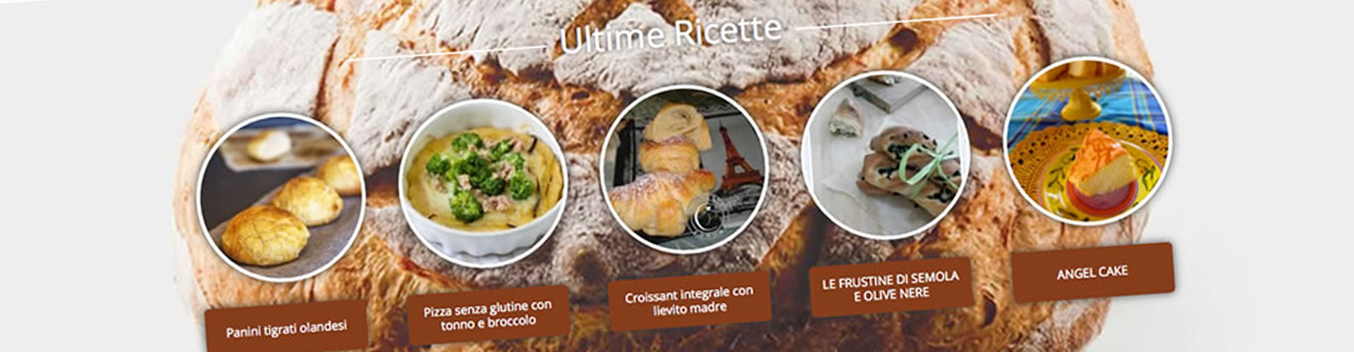 web-ruggerishop2015.jpg