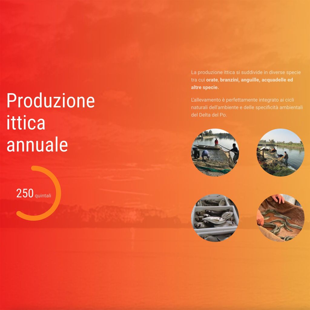 Valle C&agrave; Pisani, la produzione ittica